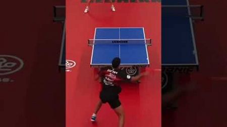 Rally #worldtabletennis #pingpong #tabletennisplayer #sports #tabletennis #tenismeja #videos #videos