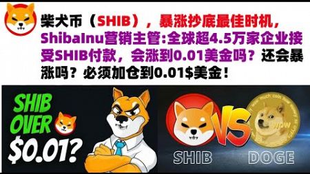 柴犬币（SHIB），暴涨抄底最佳时机，ShibaInu营销主管:全球超4.5万家企业接受SHIB付款，会涨到0.01美金吗？还会暴涨吗？还有机会上涨至0.00006美金，必须加仓到0.01$美金！