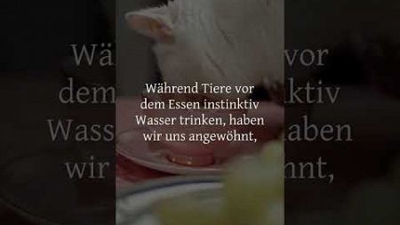 Hast du wirklich Hunger oder ist es doch nur dein Durst? #gesundheit #hunger #wissen #wasser