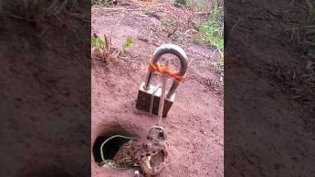 Survival Skills: SIMPLE and USEFUL with Frog Trap #bushcraft #camping #outdoors