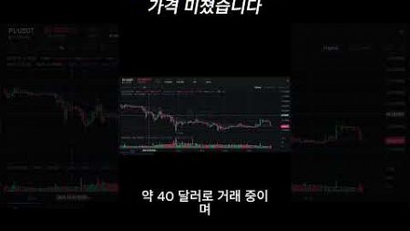 파이 코인(Pi network) 가격 미쳤습니다