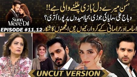 Game Changing Moment In Sunn Mere Dil Drama - Wahaj Ali And Maya Ali Successful Duo ?