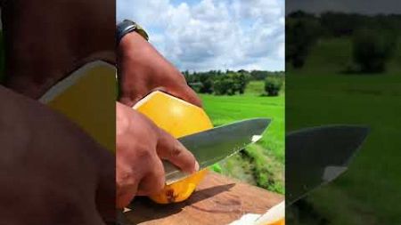 King coconut cutting in the village environment #shortvideo