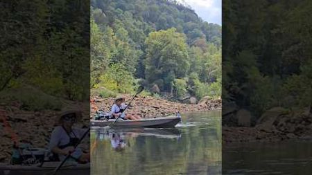 Stress free environment #riverfishing #kayaking