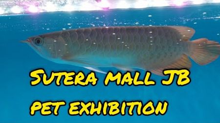 新山Sutera Mall 宠物展览2024 pameran haiwan peliharaan, pet exhibition