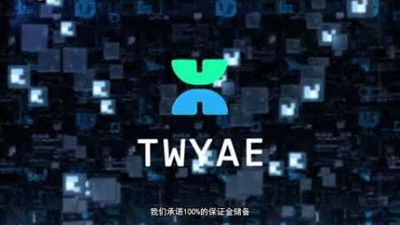 TWYAE—技术驱动合规，创新保障安全。 #TWYAE