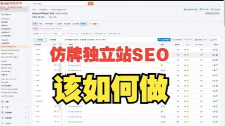 仿牌seo如何做（仿牌可以做哪些推广）