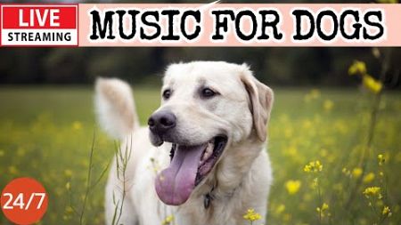 🔴[LIVE] Dog Music🎵Dog Calming Music🐶💖Dog Separation Anxiety Relief💖🦮Deep Sleep Music For Dogs🔴19