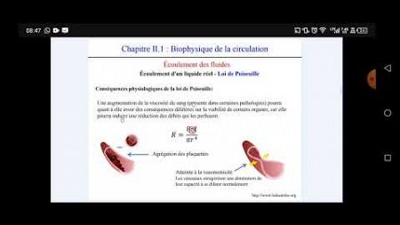 médecine biophysique milieu interne partie 4 بالدارجة