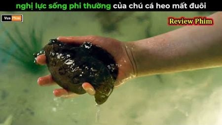 Nghị Lực sống phi thường của cá heo - Review phim cá heo