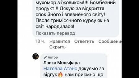 Отзывы Лавка Мольфара