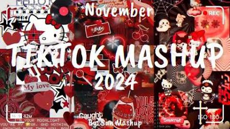 Tiktok Mashup November 💖2024💖 (Not Clean)