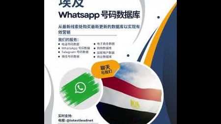 埃及 WhatsApp 号码数据库 | Latest Lead