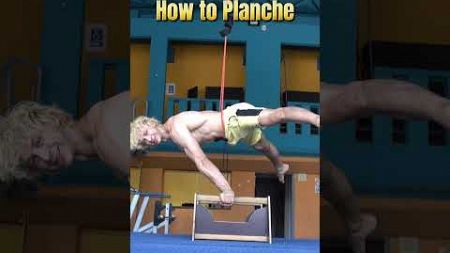 How to planche | one of the best exerxise #calisthenics #planche #tutorial #fitness #muscle #shorts