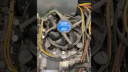 DUSTY FAN PROCESSOR HD VIDEO VERTICAL FREE NO SOUND #free #video #fan