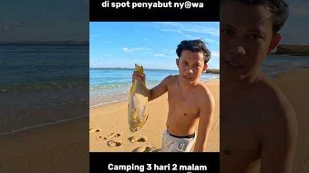 Surga Camp berburu monster bawah laut #spearfishing #mancing #camping