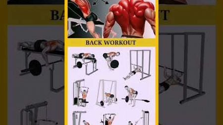 Back workout #backworkout #backday #fitness #bodybuilding #bodyfitness #viralvideo #viralshorts