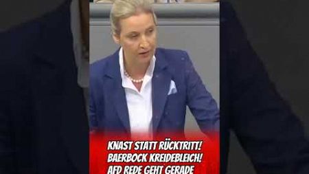 Deutschland wach auf!! Für unsere Kinder, Enkelkinder, unsere HEIMAT!#afd #politik #aktuell #scholz