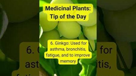 Medicinal Plants: Tip of the Day