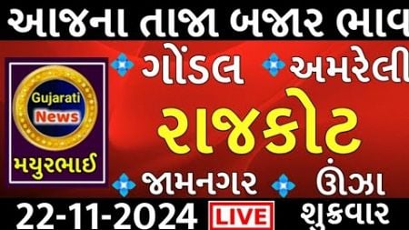 commodity prices 22.11.2024 rajkot marketing yard na bhav|saurashtra ajn bajar bhav|commodity price