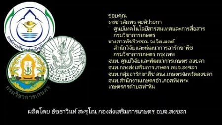 บทเรียนจากกรณีศึกษาการระบาดหนอนหัวดำมะพร้าวสงขลา