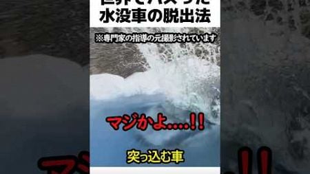 世界でバズった水没車の脱出方法