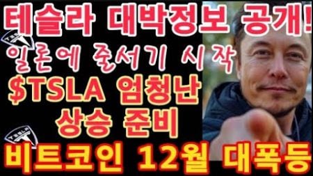 테슬라 대박정보 공개! / 일론머스크에 줄서기 시작 / $TSLA 엄청난 상승 준비 / Tesla 주가 / 테슬라 투자 / 비트코인 12월 대폭등이 기다리고 있다 / $BTC 투자