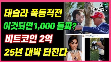 [테슬라 폭등 직전!! 이것 되면 1000 돌파?? 비트코인 2억, 25년 대박 터진다!!]#3.1경제독립tv