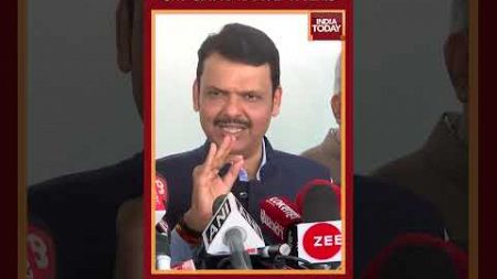 Devendra Fadnavis Reacts On Mahayuti&#39;s CM Candidate Talks | India Today