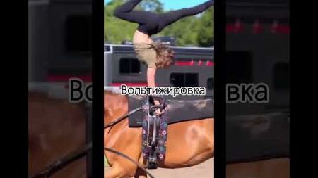 Виды конного спорта (не все) #horseracing #лошади #кони #лошадь #horseing