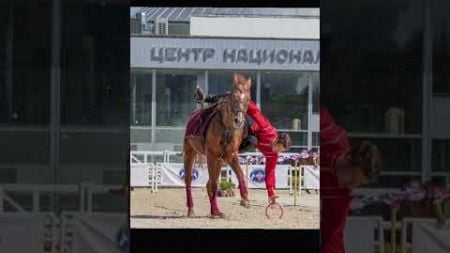 Виды конного спорта🐎☺️ Каким видом занимаетесь?😊