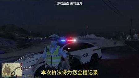 日常模拟警察游戏任务 #警察模拟器 #电脑游戏 #游戏任务