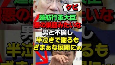 もはや政治家でもなくなった蓮舫さんのヤバすぎる黒歴史