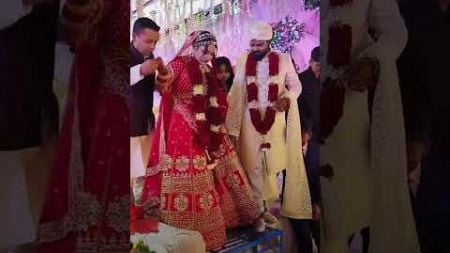 Samar Singh wedding video