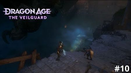 RECHT TEGENOVER DE GODEN - Dragon Age The Veilguard - Deel 10