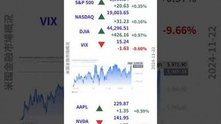 【最新米国金融市場概況-ショート】2024-11-22 続伸！ 米国株式市場 S&amp;P500 ドル円 日経平均先物 FRBなどがAI音声の聞き流しで1分で分かる！毎朝の投資情報収集に！