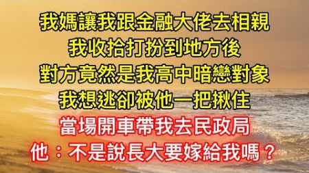 我媽讓我跟金融大佬去相親，我收拾打扮到地方後，對方竟然是我高中暗戀對象！我想逃卻被他一把揪住，當場開車帶我去民政局，他：不是說長大要嫁給我嗎？