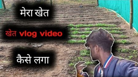 मेरा खेत /new vlog video 2024||daud blogging video