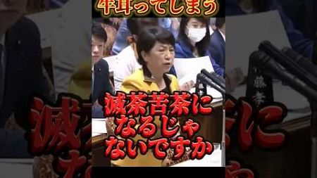 ▶︎無茶苦茶になる！！！#政治 #国会 #国会審議 #定年後 #shorts