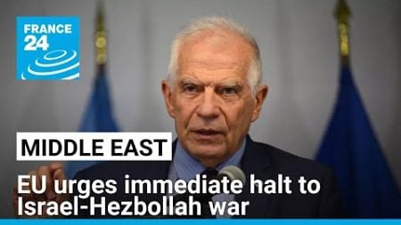 EU urges immediate halt to Israel-Hezbollah war • FRANCE 24 English