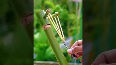 Bamboo creation #bamboo #toys #diy #craft #shorts