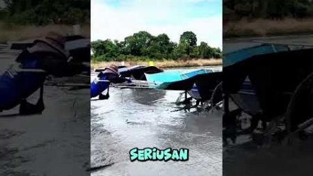 motoGP sawah #shortvideo