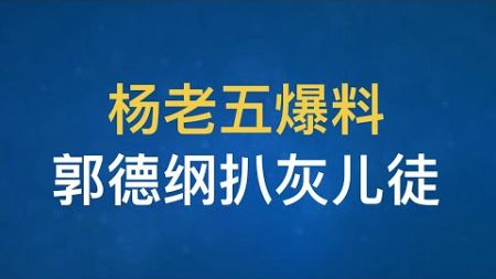 娱乐圈惊天大瓜：杨光的快乐生活，杨议杨老五爆德云班主小黑胖子郭德纲大料！小德子扒了“京剧小神童”的灰？！#德云社 #郭德纲#杨议#陶阳#曹云金#郭麒麟