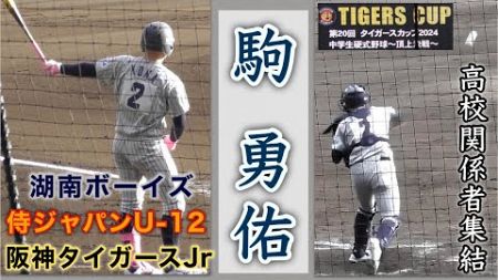 『駒 勇佑 高校関係者が集結 湖南ボーイズ』どこの高校に進学するのか 阪神タイガースジュニア→侍ジャパンU12 タイガースカップ2024