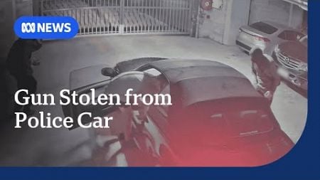 Arrests over stolen police firearm and ammunition from a police car in north Queensland | ABC News