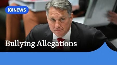 Richard Marles&#39; chief of staff launches legal action against federal government | ABC News