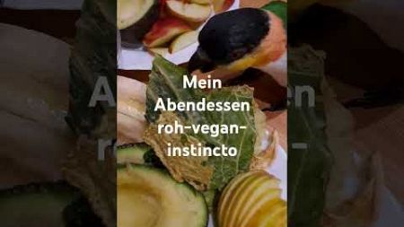 Mein Abendessen roh, vegan, instincto. Vitalstoff-Bombe für absolutes Wohlbefinden