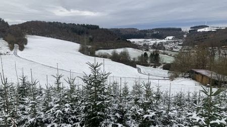 Erster Schnee Gerolstein/Eifel und Umgebung - November 2024