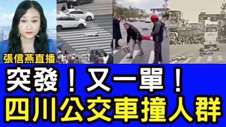 張信燕直播：突發又一單！四川公交車撞人群 #張信燕直播 #四川 #公交車 #衝撞行人 20241125