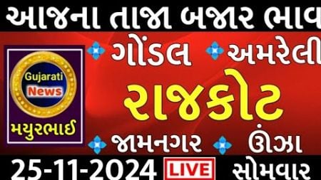 commodity prices 25.11.2024 rajkot marketing yard na bhav|saurashtra ajn bajar bhav|commodity price